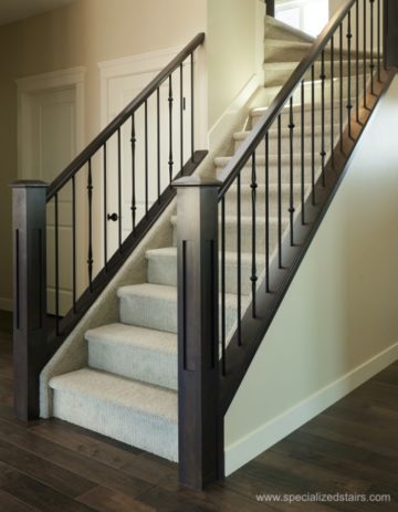 Contemporary Railing - Specialized Stair & Rail